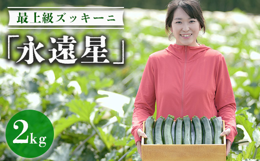 最上級ズッキーニ「永遠星」 ※2026年5月上旬～6月下旬頃に順次発送予定