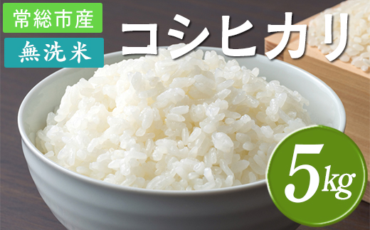 【令和7年産】無洗米 コシヒカリ5kg 茨城県常総市産