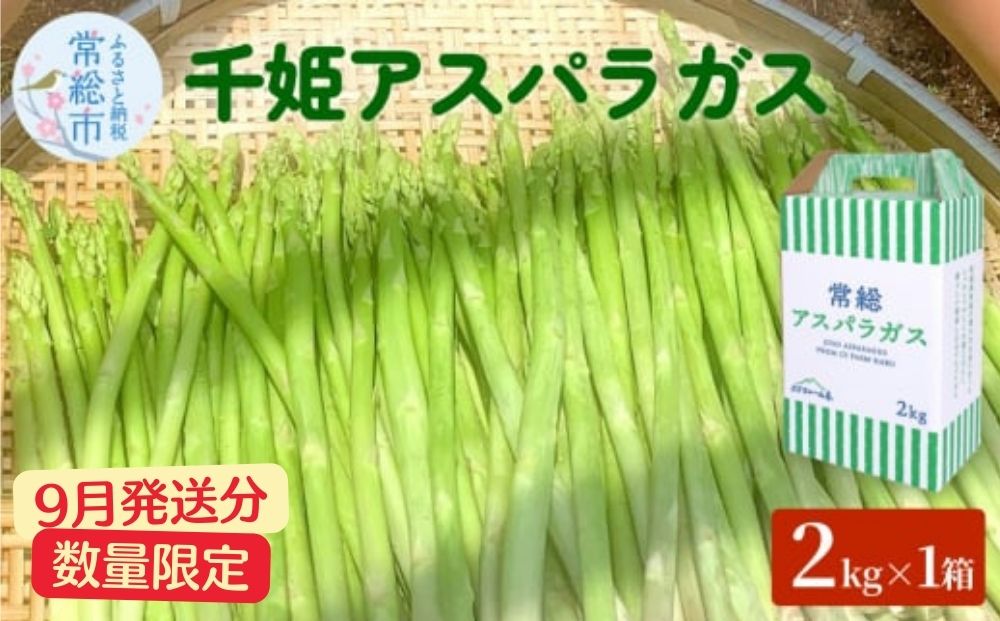 【9月発送分】千姫アスパラガス 丁寧にすべてを手作業で丹精を込めて作りあげた 自信のアスパラガス ※2025年9月上旬～9月下旬頃に順次発送予定 ※沖縄・離島への配送不可