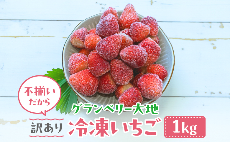 【訳あり】冷凍いちご　1kg