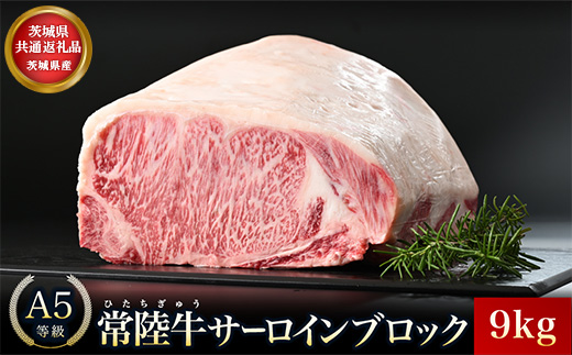 【茨城県共通返礼品】茨城県産 常陸牛A5サーロインブロック9kg ｜ 牛肉 肉 A5 サーロイン さーろいん ブロック 霜降り ステーキ すてーき 焼肉 バーベキュー 牛 柔らかい お祝い ジューシー 茨城県