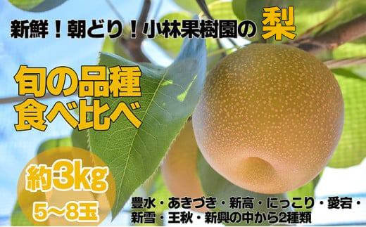 【先行予約】小林果樹園の梨 食べ比べ5～8玉 約3kg | 梨 なし 和梨 豊水 新高 あきづき 愛宕 にっこり 新雪 王秋 新興 果物 フルーツ くだもの 食べ比べ 新鮮 朝どり エコファーマー 茨城県 常総市