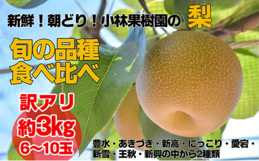 【訳アリ！先行予約】小林果樹園の梨 6～10玉 約3kg | 梨 なし 和梨 豊水 新高 あきづき 愛宕 にっこり 新雪 王秋 新興 果物 フルーツ くだもの 新鮮 朝どり エコファーマー 訳あり 茨城県 常総市