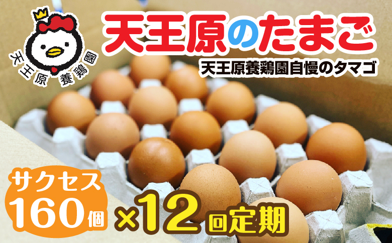 【定期便】12回定期 【天王原のたまご】 サクセス卵160個入り