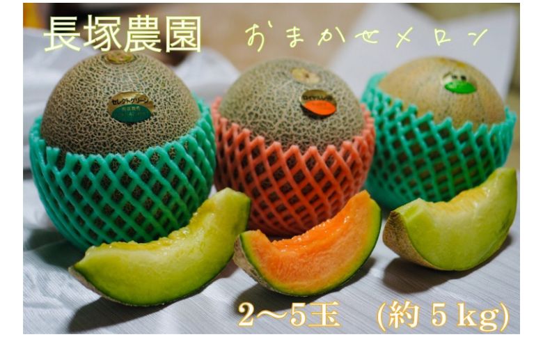 【先行予約】令和7年 おまかせメロン（品種：タカミメロン・ホノカメロン・優香メロン） 2～5玉（約5kg）｜ 数量限定 セレクトグリーン ロイヤルレッドメロン ジューシー 香り フルーツ 果物 ※2025年6月中旬頃より順次発送予定 ※沖縄・離島への配送不可