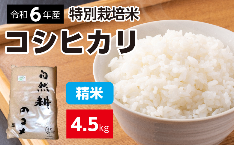 令和六年産特別栽培米コシヒカリ4.5kg 精米
