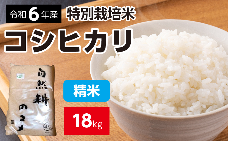令和六年産特別栽培米コシヒカリ18.0kg（4.5kg×4袋）精米
