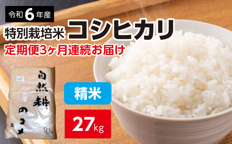 【定期便】定期便3ヶ月連続お届け 令和六年産特別栽培米コシヒカリ9kg 精米 合計27kg