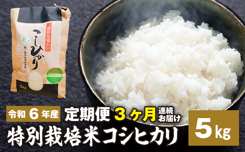 定期便3ヶ月お届け 令和六年産特別栽培米 コシヒカリ 5kg