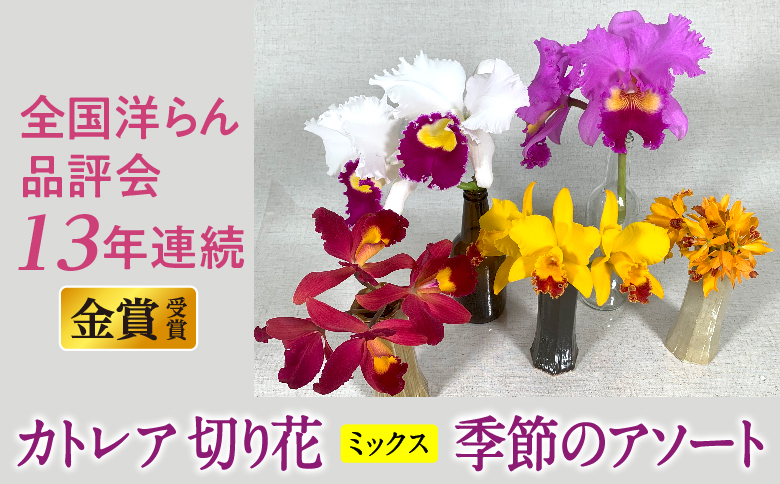 季節のアソート　スタンダードコース