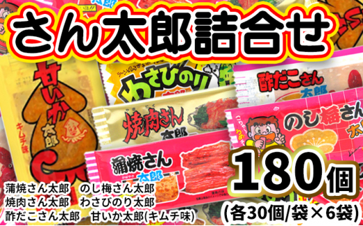 さん太郎 詰合せ 30入X6種 | 蒲焼さん太郎 のし梅さん太郎 焼肉さん太郎 わさびのり太郎 酢だこさん太郎 甘いか太郎 詰め合わせ セット 駄菓子 おやつ お菓子 個包装 子ども向け 遠足 茨城県 常総市