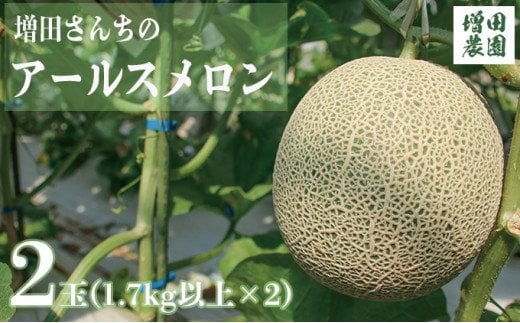 【先行予約・9月中旬以降発送】増田さんちのアールスメロン2玉 1.7kg以上×2玉 ※沖縄・離島への配送不可 ※2025年9月中旬～10月中旬頃に順次発送予定 | くだもの 果物 フルーツ デザート めろん 常総市
