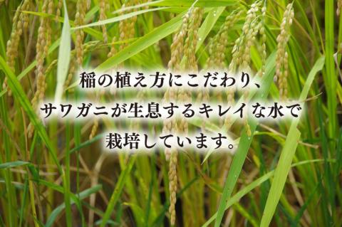 【令和7年産新米】ペットボトル米 1.7kg 【お米 ごはん おいしい 栽培 一人暮らし 健康  茨城県 北茨城市】（BD104）