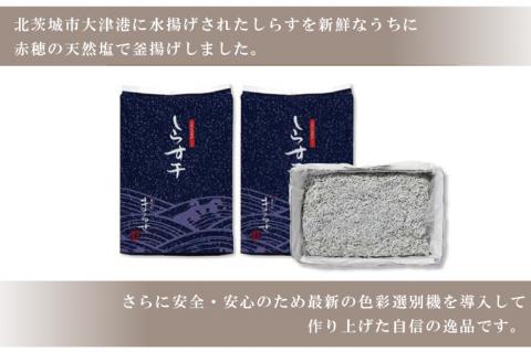 大津港水揚げのしらす干し2kg（1kg×2個）シラス（AS201）