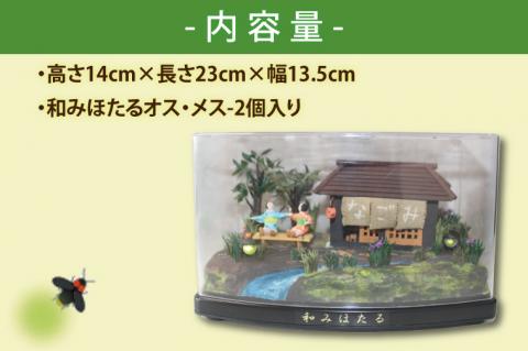 自然の蛍の光を再現　癒しの和みほたる　[憩いのひと時](AC203)