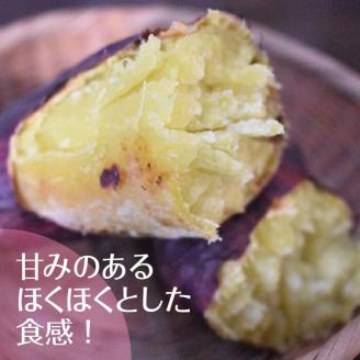 ホクホクで甘いさつまいも すずほっくり5kg（茨城県共通返礼品・行方市産）(AK205)