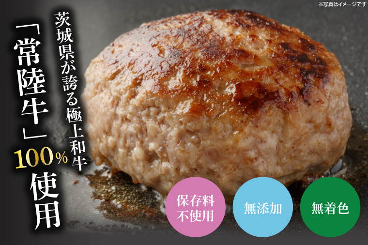 常陸牛生ハンバーグ　120g×6【ひたちぎゅう お肉 焼くだけ ジュージー】(AA216)