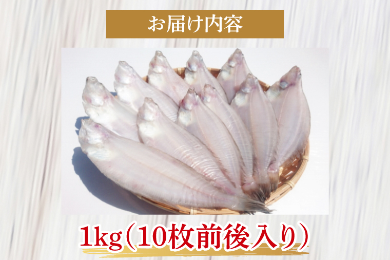 天日干 本やなぎがれい干 1kg（AI204）