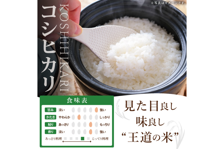 茨城県北茨城市産 お米2種食べ比べセット【お米 米 コメ こめ こしひかり 北茨城市 茨城県】(DE002)