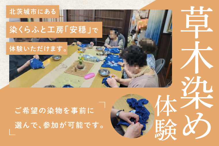 【染物選択・持ち込み可】里山の草木染め体験【体験 染物 持ち込み 自然 チケット 工房 北茨城市 茨城県】(DJ002)