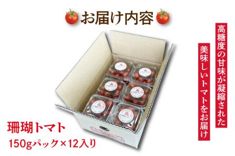 【先行予約】珊瑚トマト　150ｇパック×12入り【野菜 トマト とまと ミニトマト みにとまと フルーツトマト 新鮮 リコピン ビタミン】（AX202）