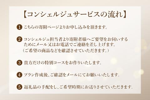 【提案型】コンシェルジュコース（30万円）(BM103)
