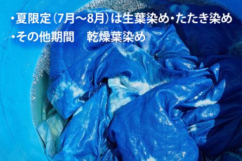 藍染体験(BQ101)