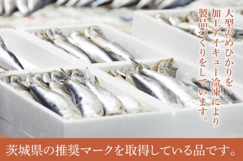 めひかり丸干5個セット【メヒカリ 海鮮 鮮魚 白身魚】(BH204)