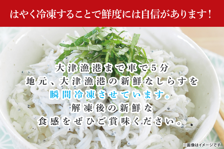 【訳あり】瞬間冷結！刺身用生しらす【大津港産】（AA212）