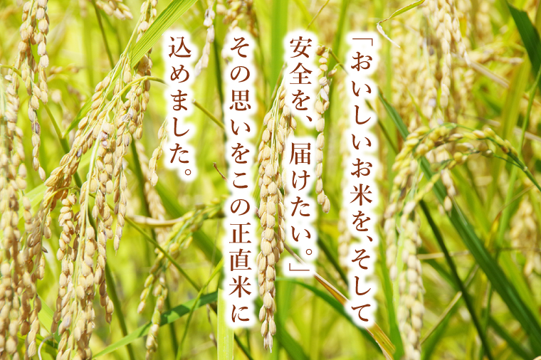正直米とBHTハンバーグ【米 お米 こめ ハンバーグ 肉 お肉 贅沢 冷凍 茨城県 北茨城市】(BY003)
