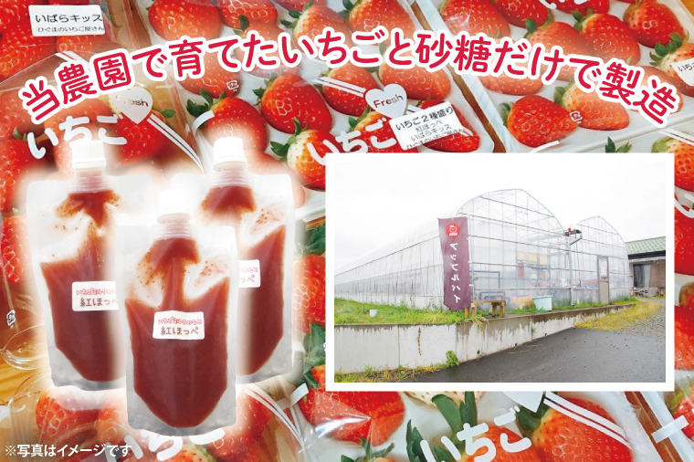 いちごミルクのもと【イチゴ苺ストロベリーおやつ無添加】(CG201)