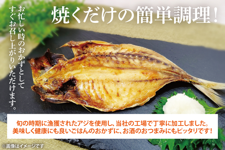 あじ開き10枚入 6袋【鮮魚 アジ 鰺 干物 ご飯のお供】(CH204)