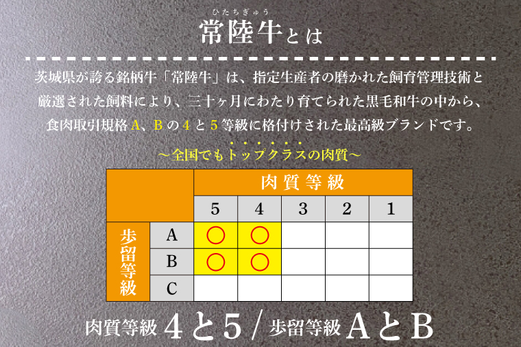 【12回定期便】最高級A4.A5ランク 常陸牛ロースステーキ500ｇ（250ｇ×2）×12回【人気肉 お肉 牛肉 和牛 黒毛和牛 国産黒毛和牛 ロース肉 ステーキ 国産牛 焼肉 焼き肉 バーベキュー BBQ A5 ブランド牛】(CR109)