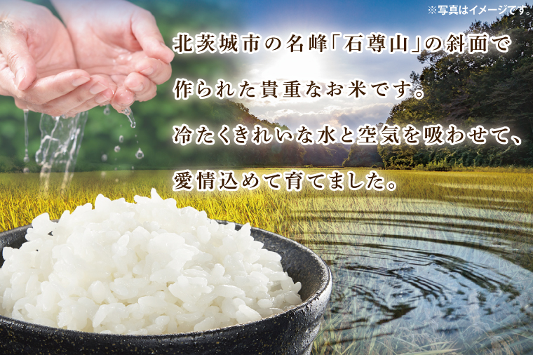 【数量限定】石尊米とお漬物セット【お米 米 コメ 石尊山 真空パック こしひかり 漬物 たくあん シャクシナ 野菜 ご飯 北茨城市 茨城県】(CV002)