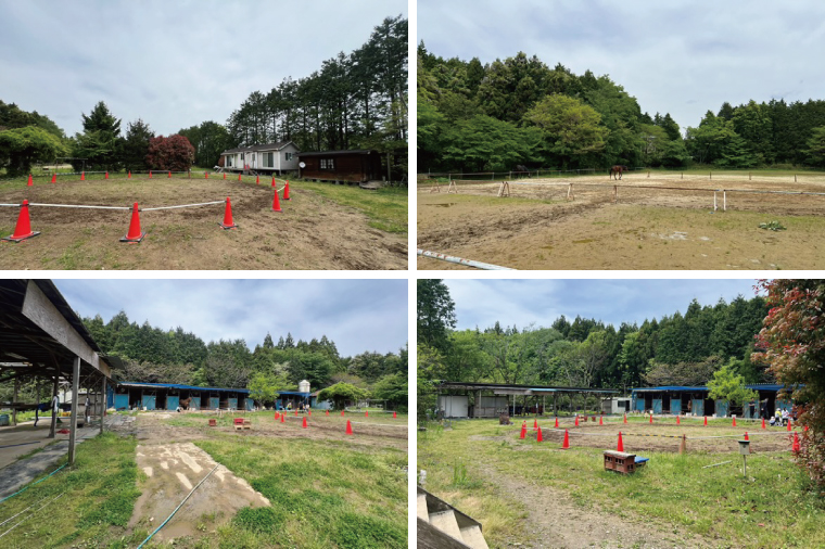Shiina Riding Club　ビジター乗馬体験40分【茨城県 北茨城市 アクティビティ おでかけ レンタル 体験 チケット 馬】（DA003）