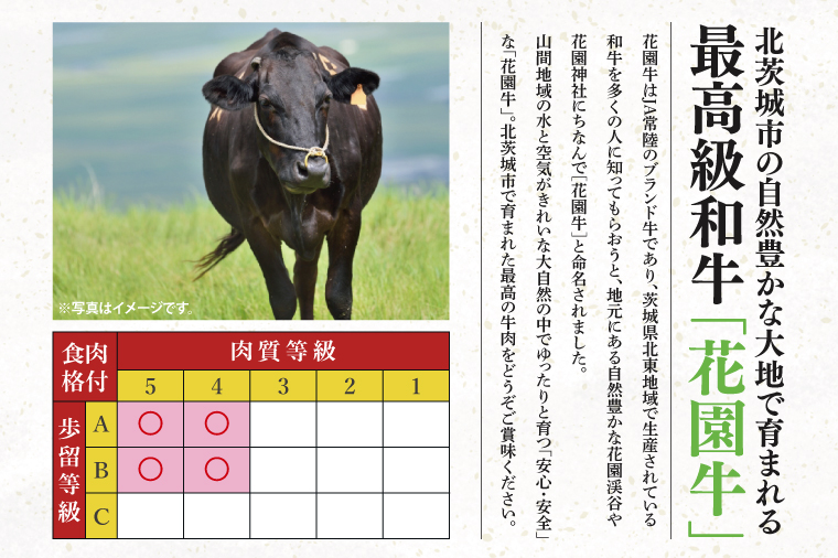 【3ヶ月定期便】花園牛どどーんっ！と定期便 総重量約３kg超え【牛肉 ブランド牛 ステーキ すき焼き 焼肉 お肉 贅沢 冷凍 茨城県 北茨城市】(DC005)