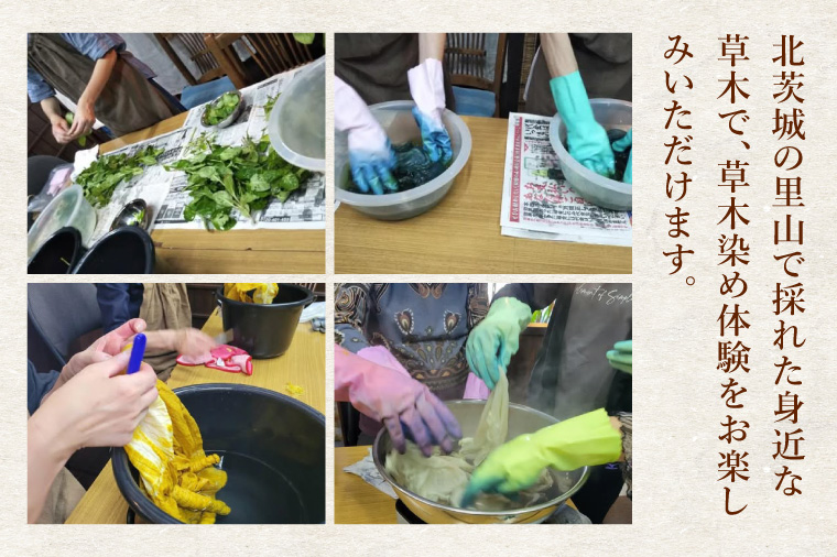【手ぶらで参加】里山の草木染め体験【体験 染物 自然 チケット 工房 北茨城市 茨城県】(DJ001)