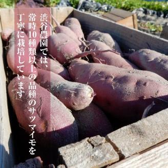 ホクホクで甘いさつまいも すずほっくり5kg（茨城県共通返礼品・行方市産）(AK205)