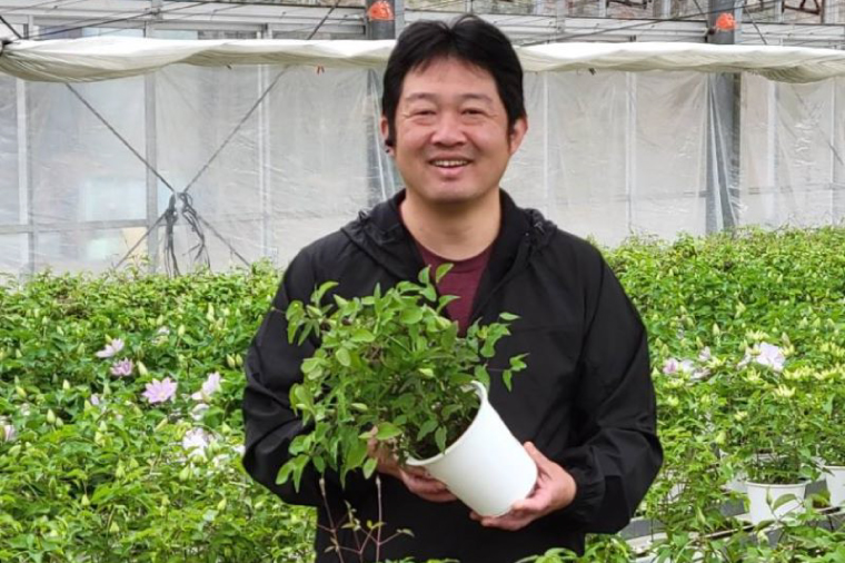 【先行予約】【長谷川園芸】国際園芸博覧会で最高賞受賞のクレマチス「北浜」５寸【母の日 ギフト プレゼント 贈答 花のある生活】 (AT211)