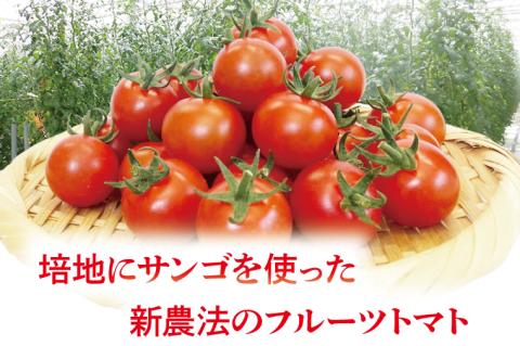 【先行予約】珊瑚トマト　150ｇパック×12入り【野菜 トマト とまと ミニトマト みにとまと フルーツトマト 新鮮 リコピン ビタミン】（AX202）
