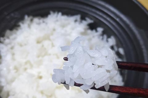 【令和7年産新米】正直米（特秀）2kg 特別栽培米 【おいしい おこめ 米 お米 精米 こしひかり コシヒカリ コンテスト 受賞 五つ星マイスター 特別米 2kg 5kg】(BC201)