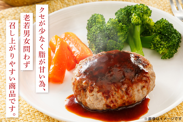 正直米とBHTハンバーグ【米 お米 こめ ハンバーグ 肉 お肉 贅沢 冷凍 茨城県 北茨城市】(BY003)