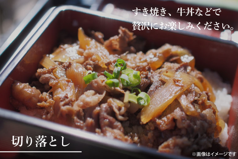 【6回定期便】最高級A4.A5ランク 常陸牛バラエティセット【人気肉 お肉 牛肉 和牛 黒毛和牛 国産黒毛和牛 ロース肉 ステーキ 国産牛 焼肉 焼き肉 バーベキュー BBQ A5 ブランド牛】（CR113）