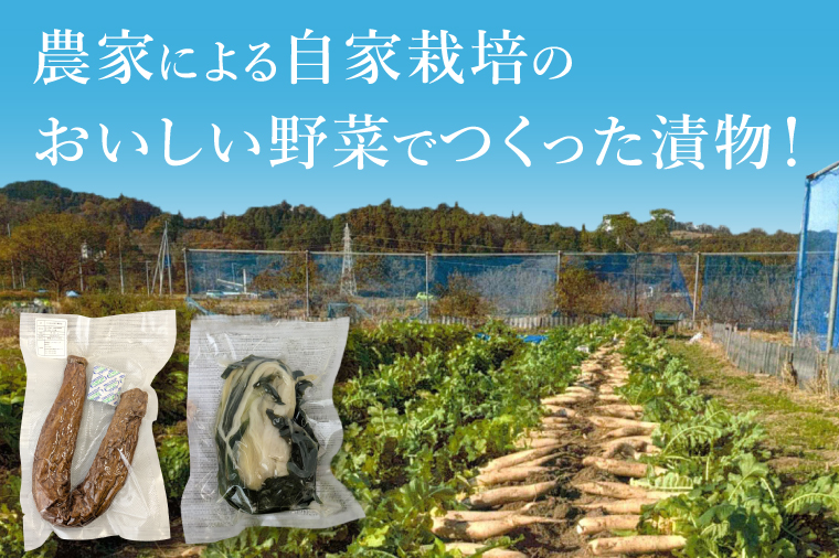 【数量限定】石尊米とお漬物セット【お米 米 コメ 石尊山 真空パック こしひかり 漬物 たくあん シャクシナ 野菜 ご飯 北茨城市 茨城県】(CV002)