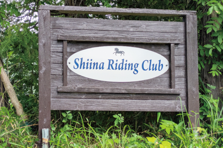 Shiina Riding Club　ビジター乗馬体験40分【茨城県 北茨城市 アクティビティ おでかけ レンタル 体験 チケット 馬】（DA003）