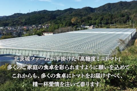 【先行予約】珊瑚トマト　150ｇパック×12入り【野菜 トマト とまと ミニトマト みにとまと フルーツトマト 新鮮 リコピン ビタミン】（AX202）