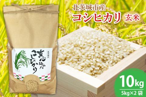 HOT人気セール数量限定茨城令和2年産コシヒカリ玄米20㎏ 米/穀物