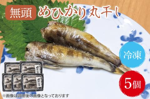 めひかり丸干5個セット【メヒカリ 海鮮 鮮魚 白身魚】(BH204)