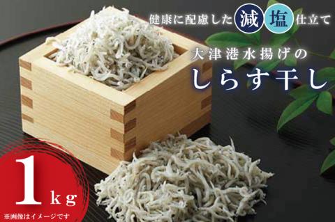 大津港水揚げのしらす干し１kg(AS203)