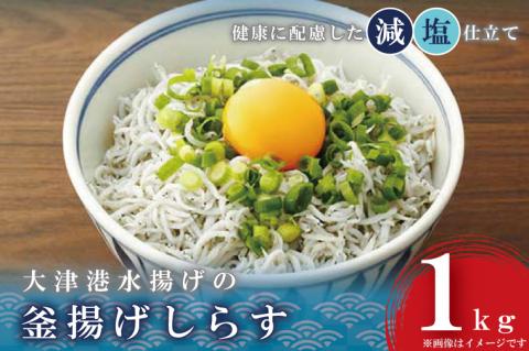 大津港水揚げの釜揚げしらす１kg(AS204)